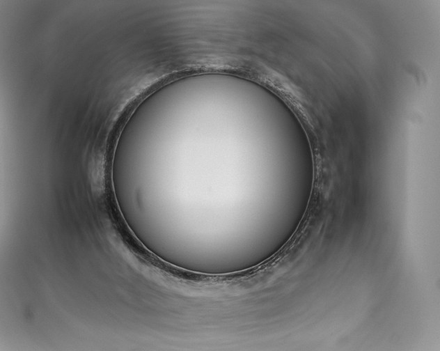 X0000111140012200906301239