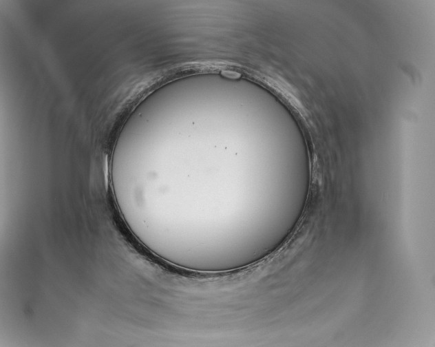 X0000111140013200906301239