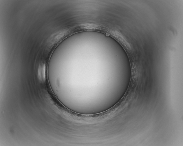 X0000111140014200906301239