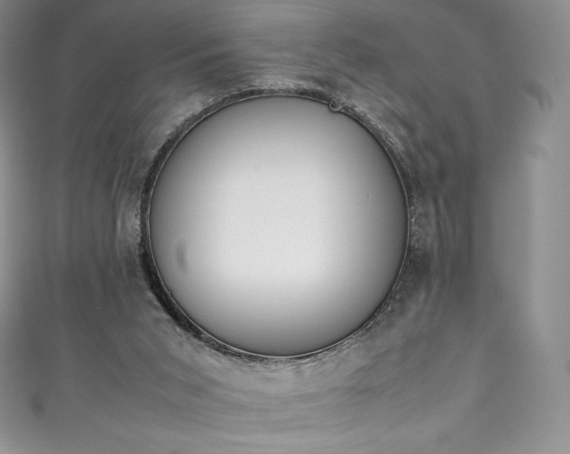 X0000111140015200906301239