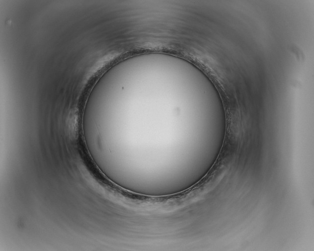 X0000111140016200906301239