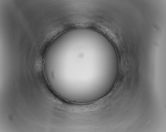 X0000111140017200906301239