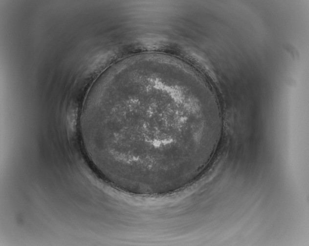 X0000111140018200906301239