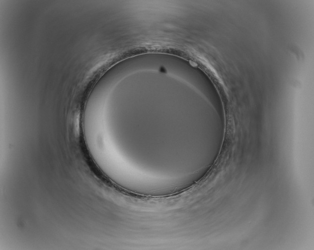 X0000111140019200906301239