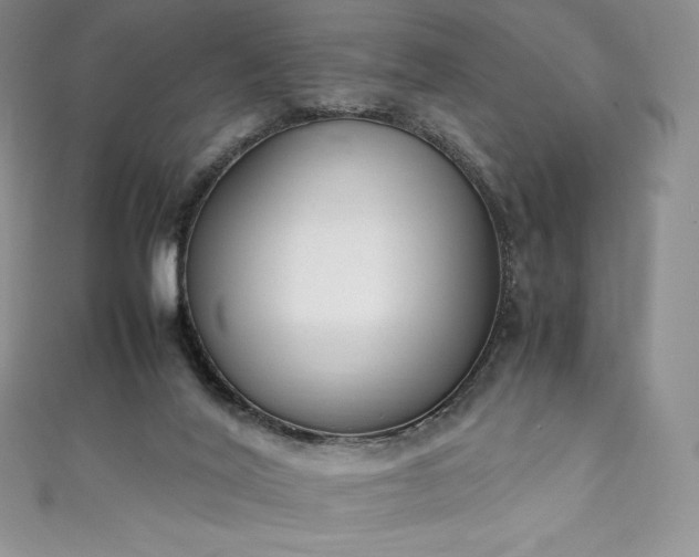 X0000111140020200906301239