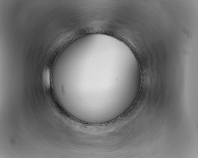 X0000111140022200906301239