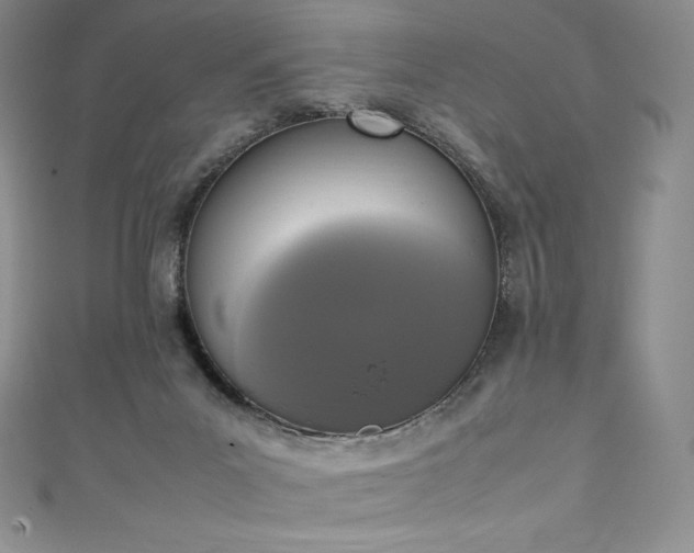 X0000111140023200906301239