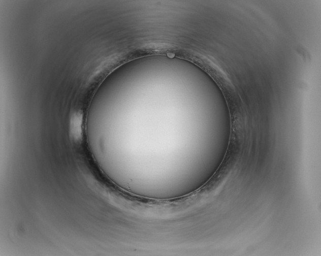 X0000111140024200906301239