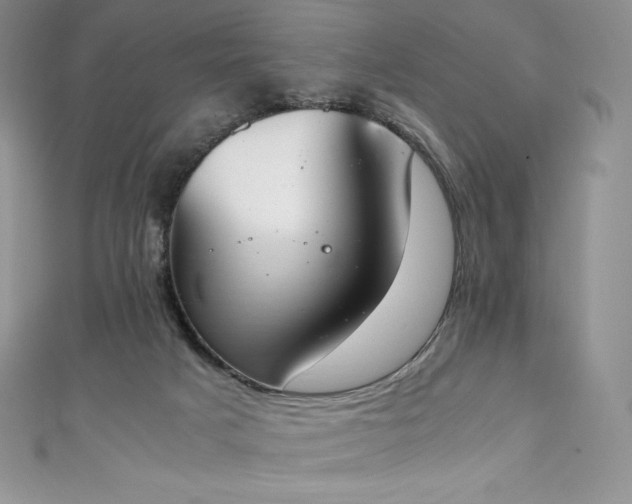 X0000111140025200906301239