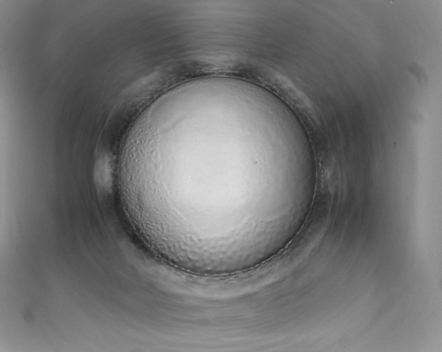 X0000111140026200906301239