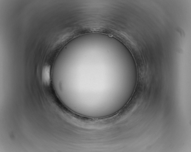 X0000111140028200906301239