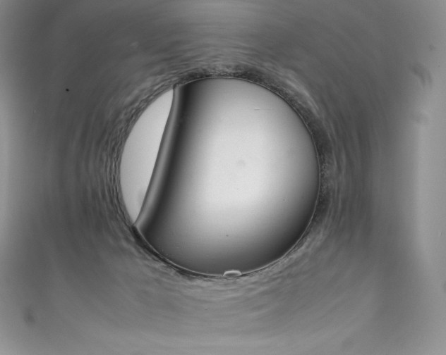 X0000111140029200906301239