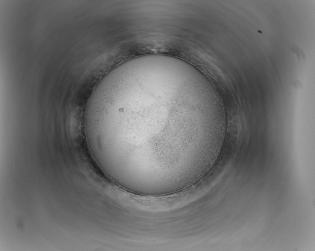 X0000111140030200906301239