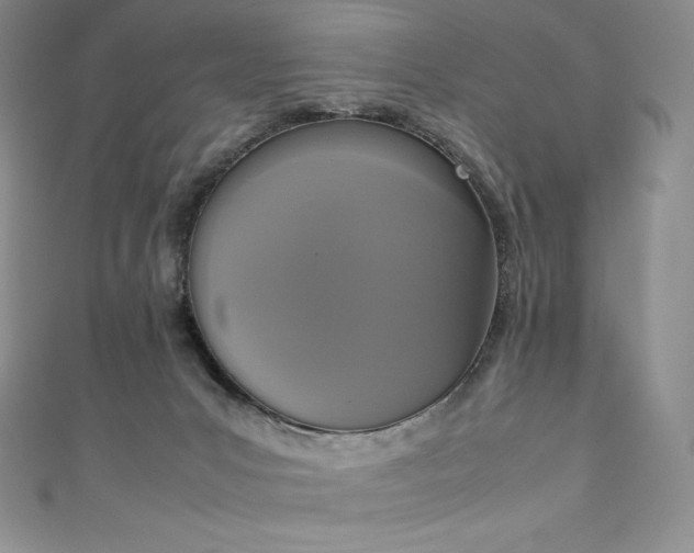 X0000111140031200906301239