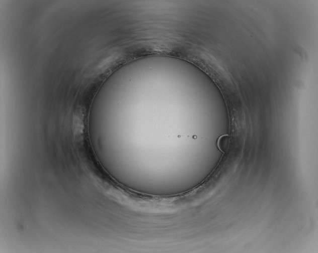 X0000111140032200906301239