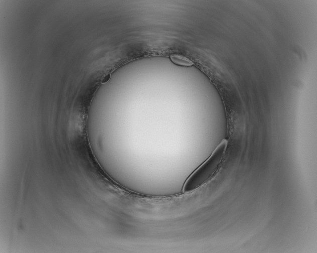 X0000111140033200906301239