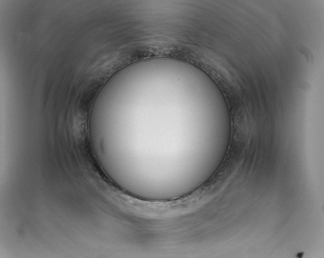 X0000111140034200906301239