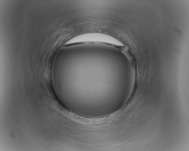 X0000111140035200906301239