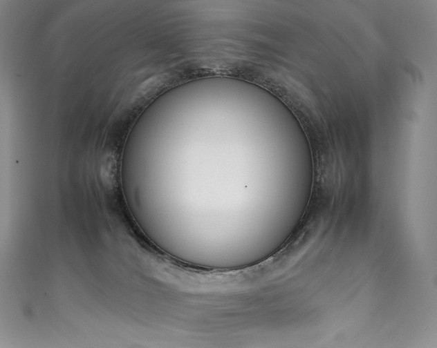 X0000111140036200906301239