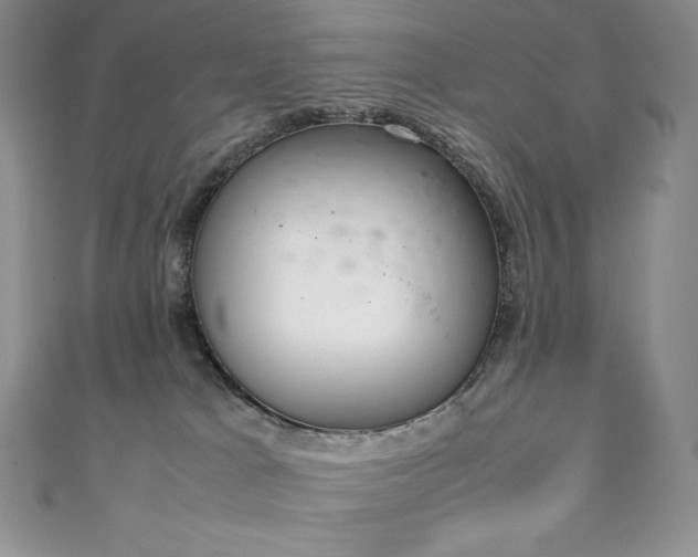 X0000111140037200906301239