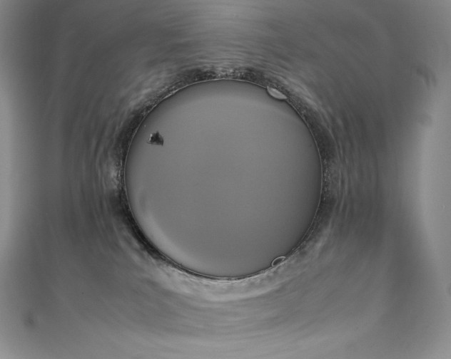 X0000111140039200906301239