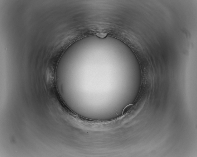 X0000111140040200906301239