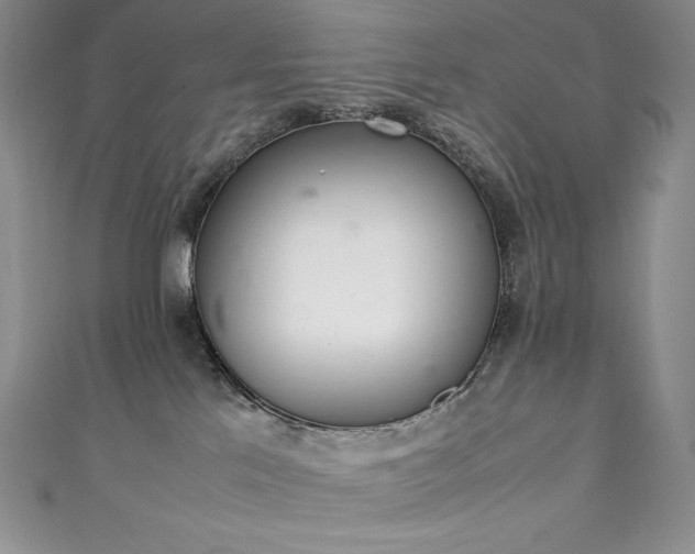 X0000111140041200906301239