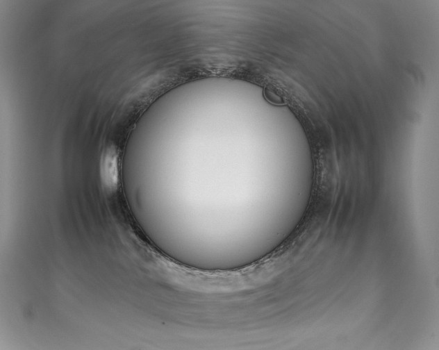 X0000111140042200906301239