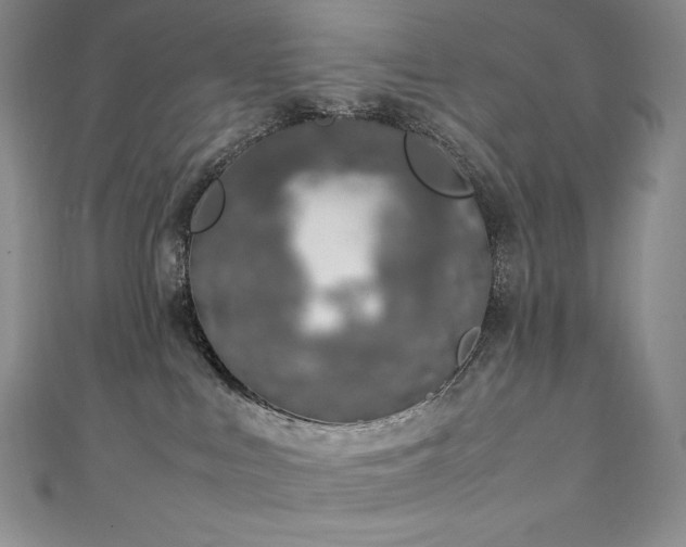 X0000111140043200906301239