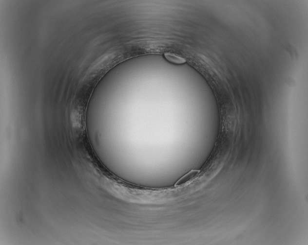 X0000111140044200906301239