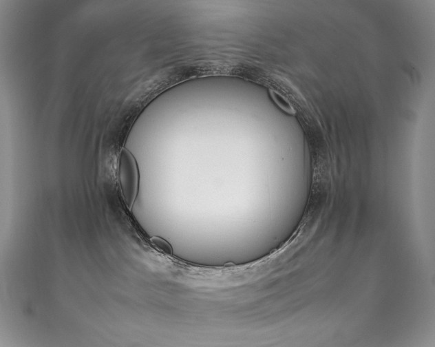 X0000111140045200906301239