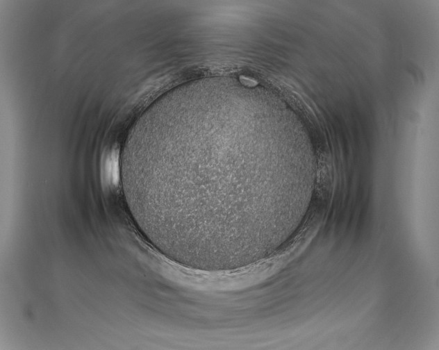 X0000111140046200906301239