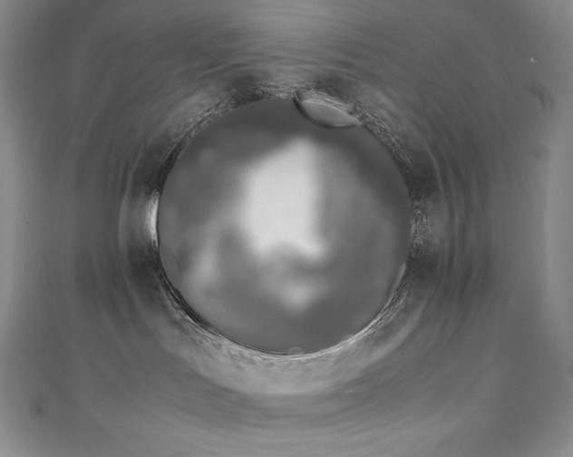 X0000111140047200906301239