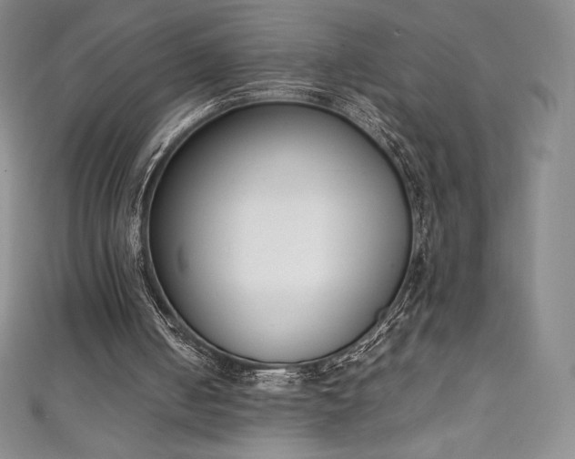 X0000111140050200906301238