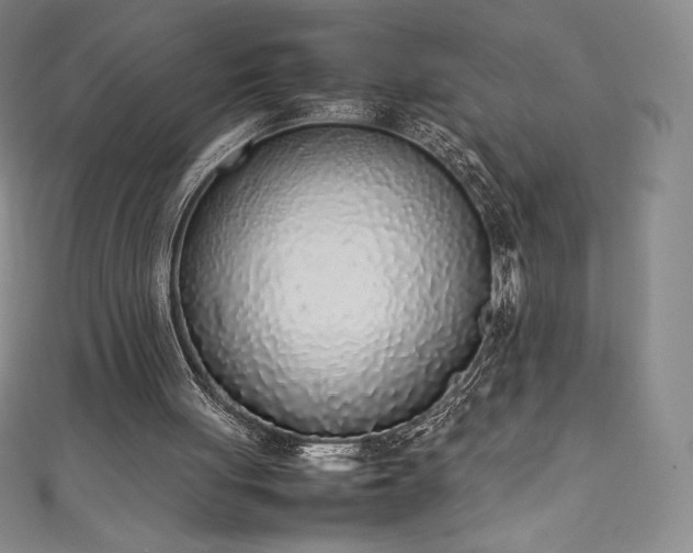 X0000111140051200906301238