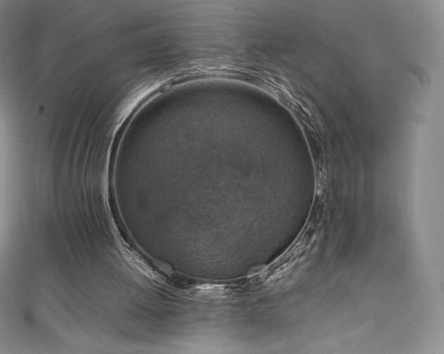 X0000111140052200906301238