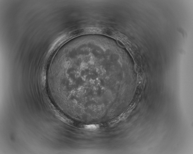 X0000111140053200906301238