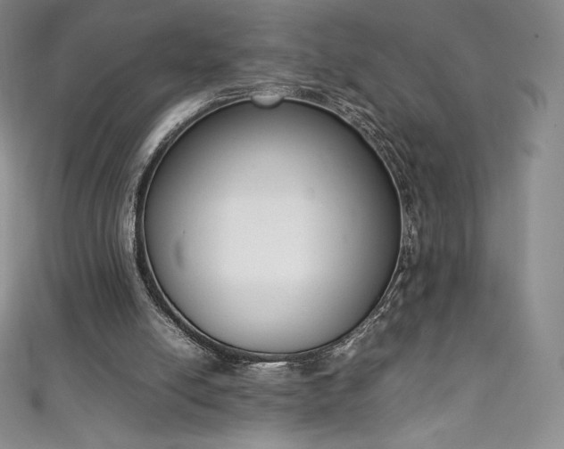 X0000111140054200906301238