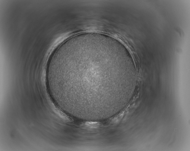 X0000111140055200906301238