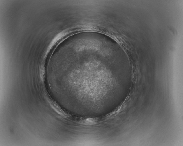 X0000111140056200906301238