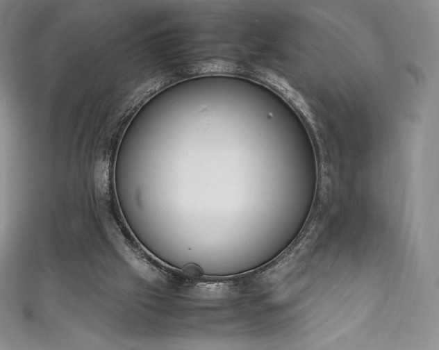 X0000111140057200906301238