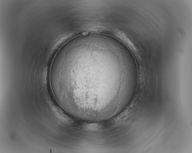 X0000111140058200906301238