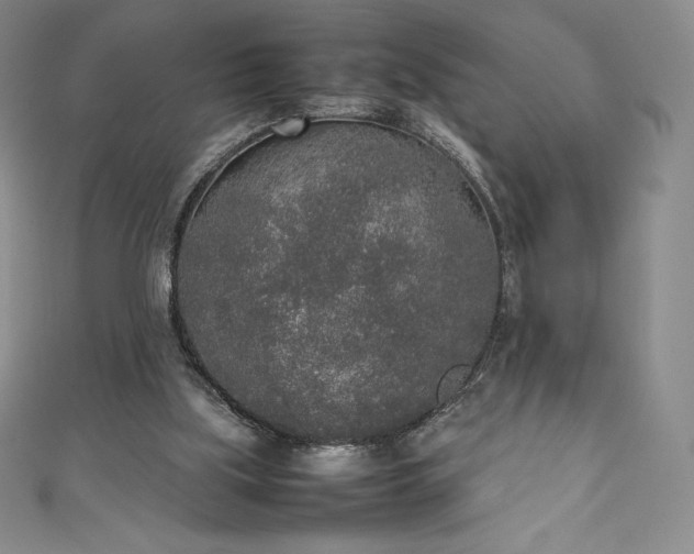 X0000111140059200906301238