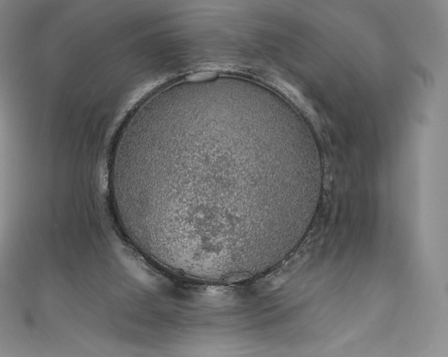 X0000111140060200906301238