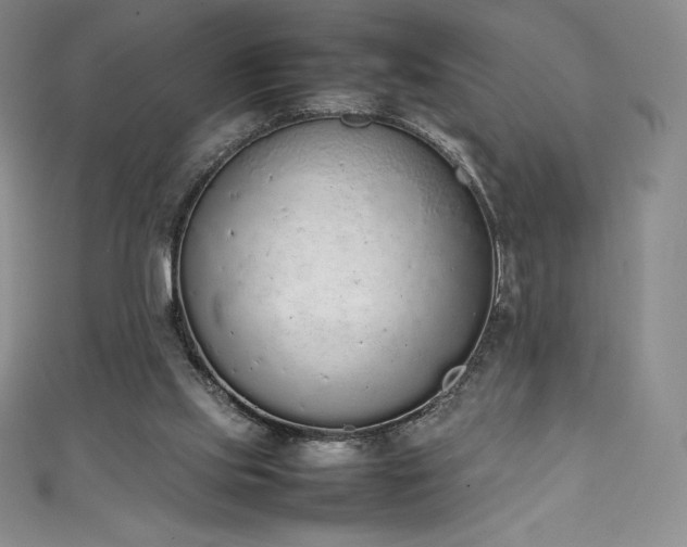 X0000111140061200906301238