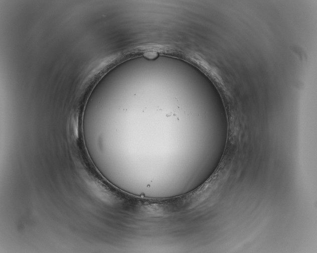 X0000111140062200906301238