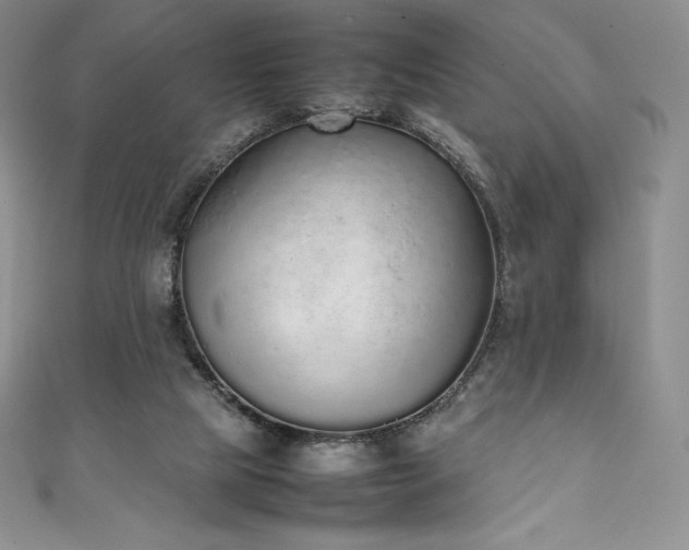 X0000111140065200906301238