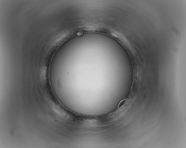 X0000111140066200906301238