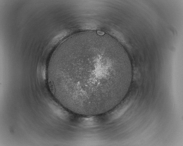 X0000111140068200906301238