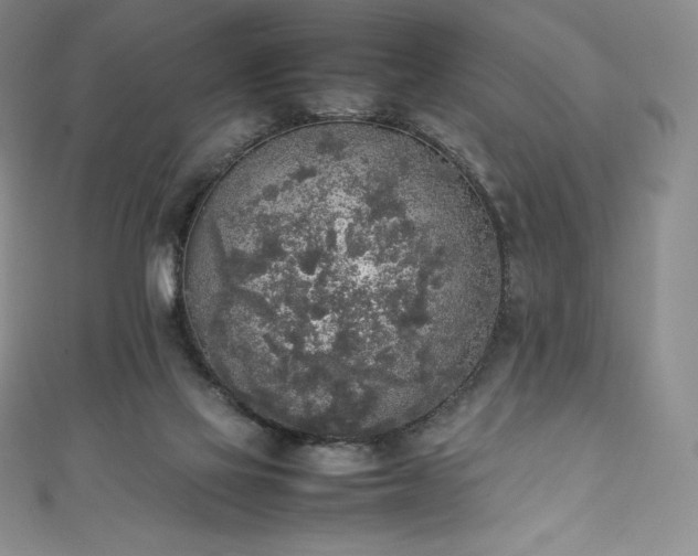 X0000111140069200906301238